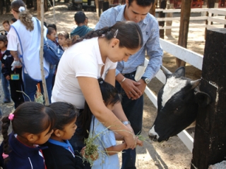 Alimenta a los animales